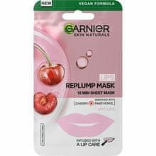 Garnier GARNIER - Skin Naturals Replump Lip Mask 5.0g 