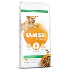 IAMS IAMS Dog Adult Large csirke 12 kg