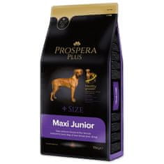 STREFA  Plus Maxi Junior 15 kg