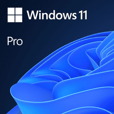 Microsoft Windows 11 Professional 64-bit MLG operációs rendszer OEM (FQC-10572)