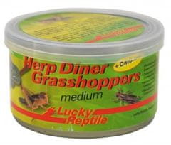 Lucky Reptile Herp Diner - szardellák 35g kb. 50 közepes