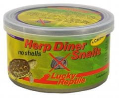 Lucky Reptile Herp Diner - csigák 35g Csigák héj nélkül 35g