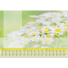 Sigel "Lovely Daisies" 595x410 mm könyökalátét - 3 éves tervezővel (HO307)