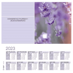Sigel "Fragrant Lavender" 595x410 mm könyökalátét - 3 éves, heti tervezővel (HO308)