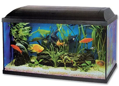 Cat-Gato akvárium szett, 80x30x40 cm