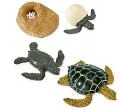 Safari Ltd. Életciklus - Tengeri teknős