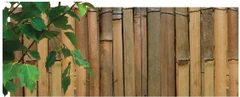 NOHEL GARDEN Osztott bambuszkerítés 1x5m