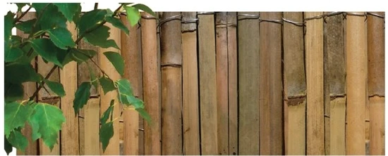NOHEL GARDEN Osztott bambuszkerítés 1,5x5m
