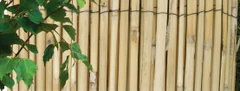 NOHEL GARDEN Osztott bambuszkerítés 1x5 m