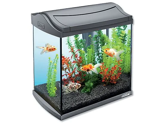 Tetra AquaArt akvárium készlet antracit 30 l