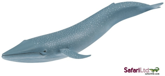 Safari Ltd. Kék bálna