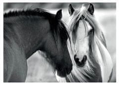 DINO Fekete fehér lovak 1000 darabos
