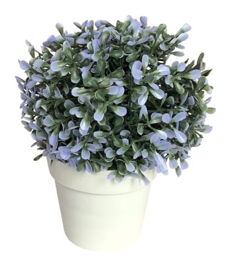 Koopman Dekoratív cserepes művirág, 20 cm kék