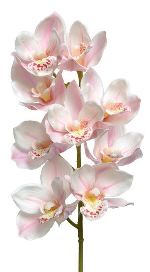 Kaemingk Orchidea, real touch, poliészter - világos rózsaszín