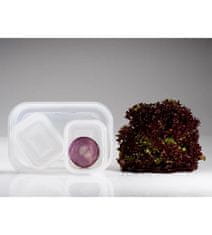 Compactor Aspi Fresh - 5 részes műanyag vákuum doboz szett élelmiszerre