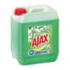 AJAX Ajax univerzális tisztító virágos, Floral Fiesta Flower of Spring 5 l