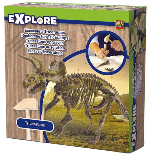 SES Triceratops csontváz