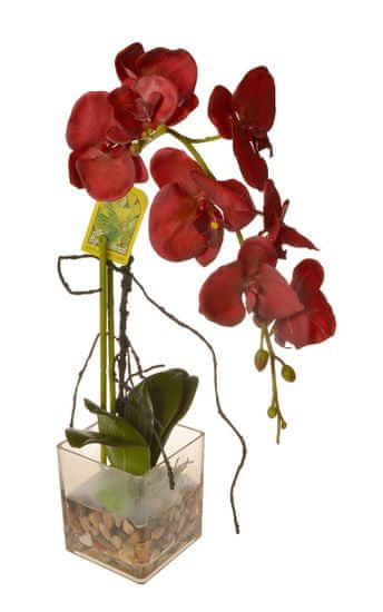 EverGreen Orchidea üvegben, magassága 56 cm