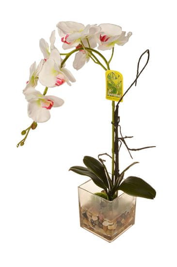 EverGreen Orchidea üvegben, magassága 56 cm 3