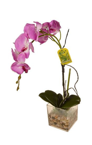 EverGreen Orchidea üvegben, magassága 56 cm 4