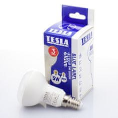Tesla Lighting R5140530-2