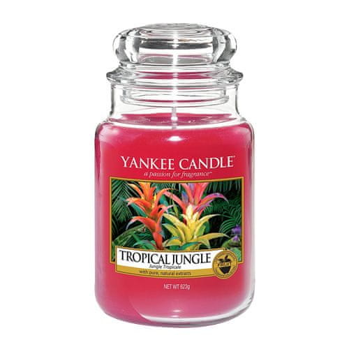 Yankee Candle Gyertya egy üvegedénybe a Yankee gyertyát, Trópusi dzsungel, 623 g