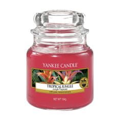 Yankee Candle Gyertya egy üvegedénybe a Yankee gyertyát, Trópusi dzsungel, 104 g