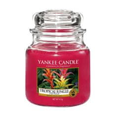 Yankee Candle Gyertya egy üvegedénybe a Yankee gyertyát, Trópusi dzsungel, 410 g