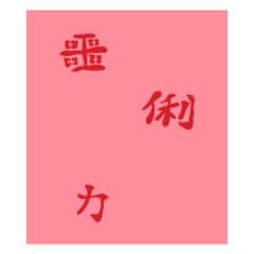 Eulenspiegel Airbrush festősablon, Airbrush festősablon - Kanji I