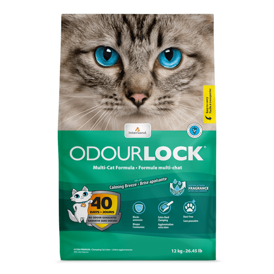 Intersand Odour Lock friss illat, 12 kg