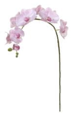 Shishi Rózsaszín orchidea 96 cm nagy virágokkal