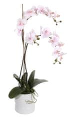 Shishi Orchidea virágcseréppel 75 x 40 cm rózsaszín