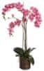 Rózsaszín orchidea virágcseréptel 90 x 40 cm