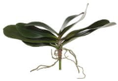 Shishi Zöld orchidea levelek 45 x 45 cm