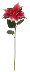 Shishi Piros Mikulásvirág, kanyargós 68 cm