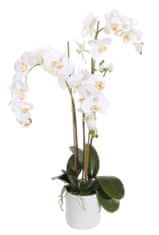 Shishi Orchidea krém 90 x 40 cm virágcseréptel