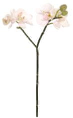 Shishi Rózsaszín orchidea 30 cm