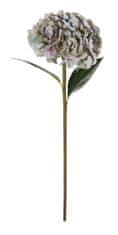 Shishi Világos lila hortenzia 90 cm