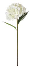 Shishi Fehér hortenzia 90 cm