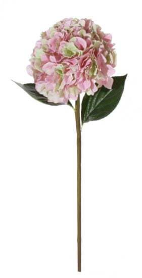 Shishi Rózsaszín hortenzia 90 cm