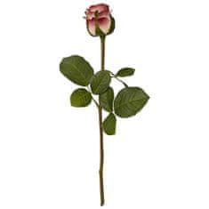 Lene Bjerre Rózsa FLORA fehér, piros szélekkel 40 cm