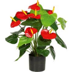 A La Maison Levélvirág (Anthurium), piros virágokkal, 50 cm