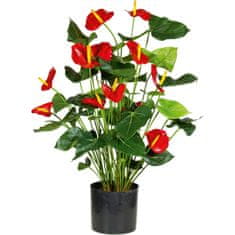 A La Maison Levélvirág (Anthurium), piros virágokkal, 80 cm