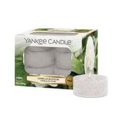 Yankee Candle Yankee gyertya tea gyertyák, Camellia virág, 12 darab