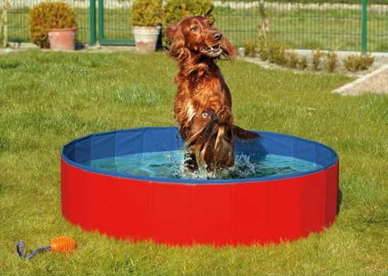 Karlie összecsukható kutyamedence, kék/piros, 120x30 cm