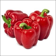 Innova CANVAS red pepper 50x50