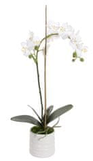 Shishi Fehér orchidea virágcseréptel 65 x 25 cm