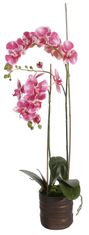 Shishi Lila orchidea virágcseréptel 90 x 40 cm