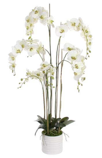 Shishi Fehér orchidea virágcseréppel 155 x 75 cm