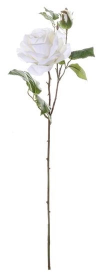 Shishi Fehér rózsa 65 cm